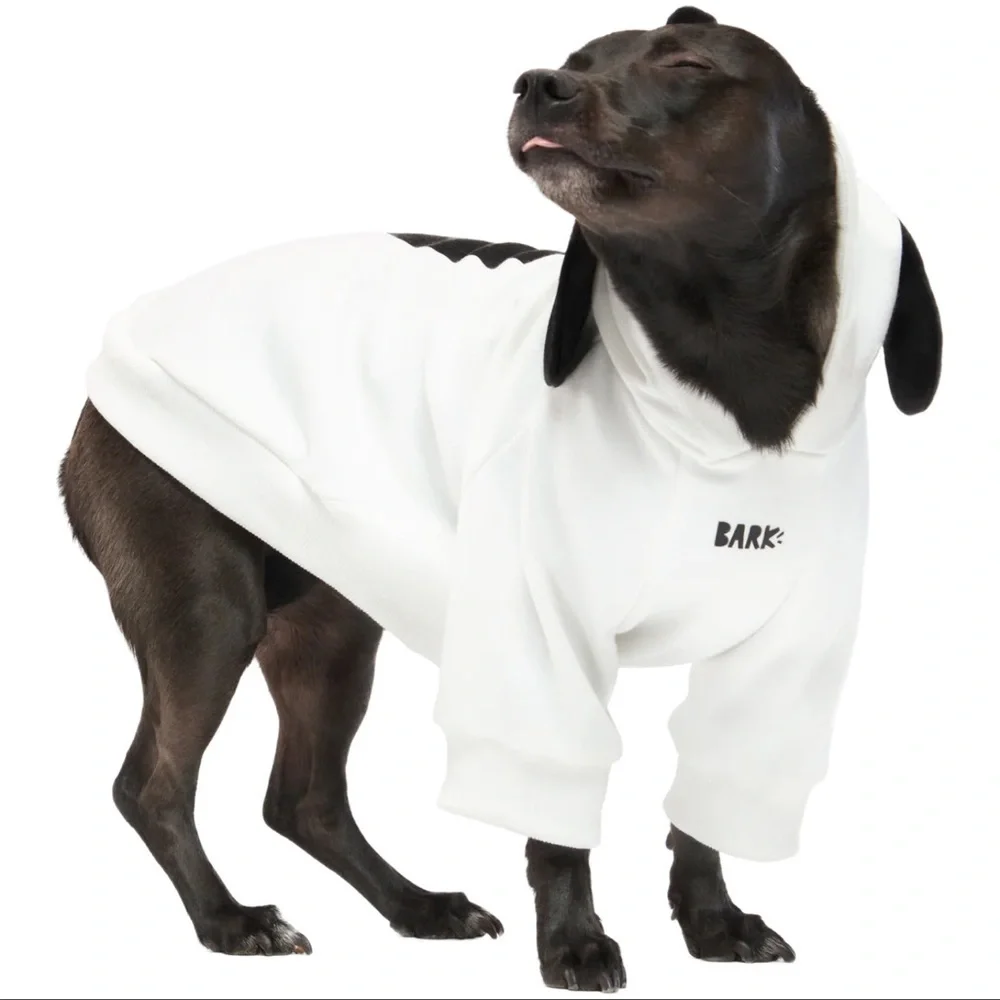 Snoopy Dog Hoodie size Medium